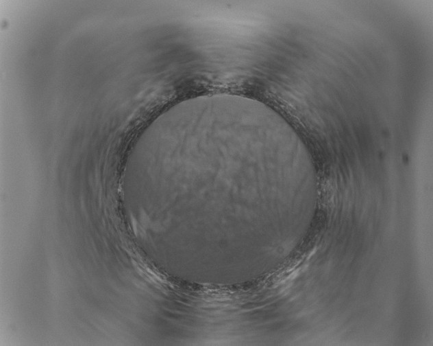 X0000088400913200706121231