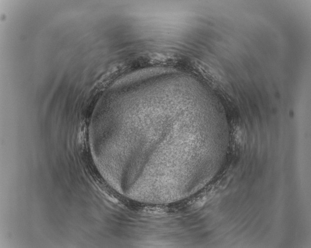 X0000088400914200706121231