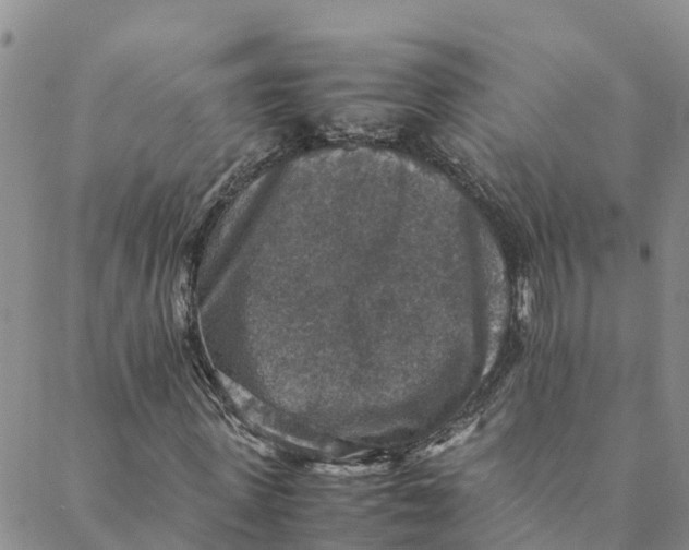 X0000088400915200706121231