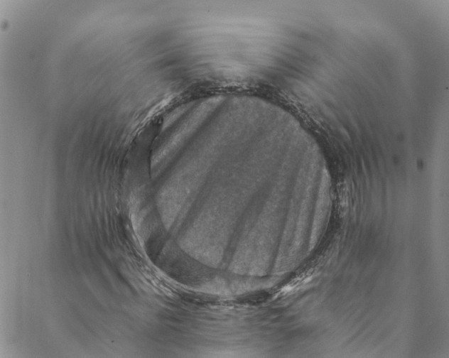 X0000088400916200706121231