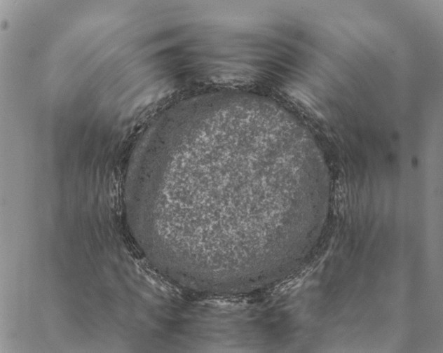 X0000088400917200706121231