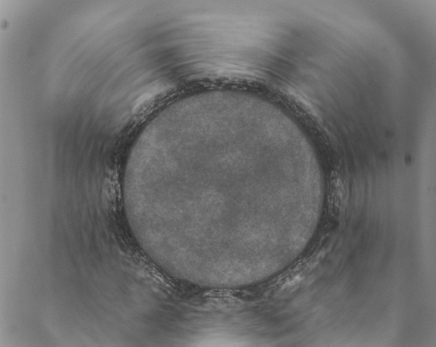 X0000088400918200706121231