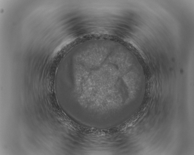 X0000088400919200706121231