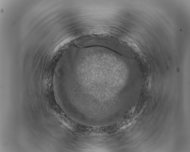 X0000088400920200706121231