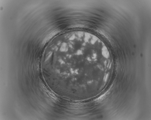 X0000088400921200706121231