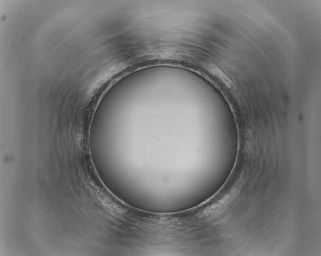 X0000088400922200706121231