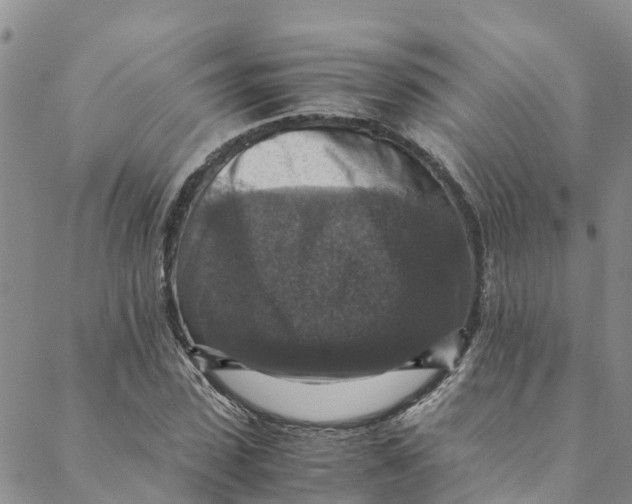 X0000088400923200706121231