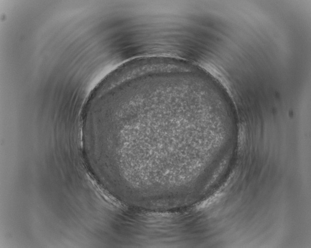 X0000088400925200706121231