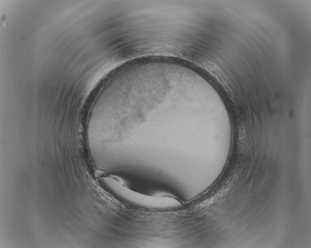 X0000088400926200706121231