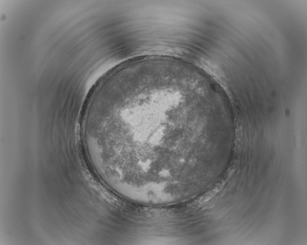 X0000088400928200706121231