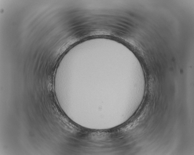 X0000088400929200706121231