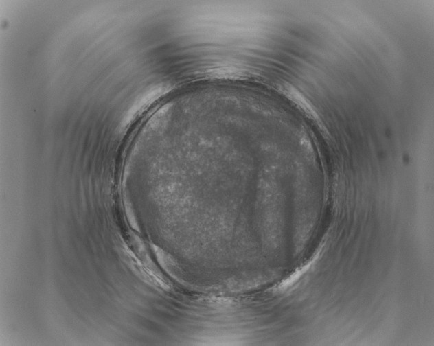 X0000088400930200706121231