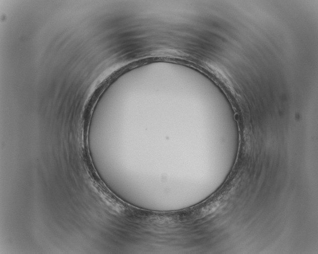 X0000088400931200706121231