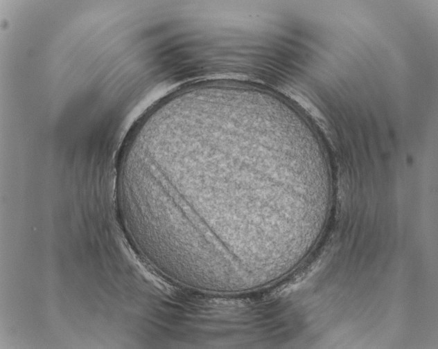 X0000088400933200706121231