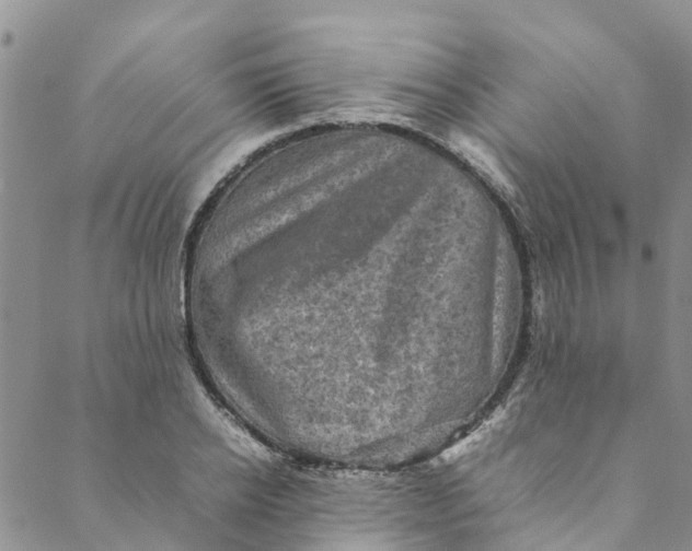 X0000088400934200706121231