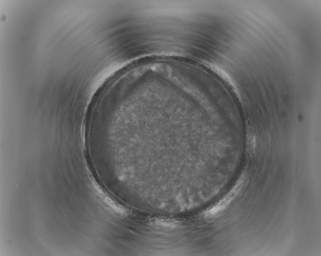 X0000088400935200706121231