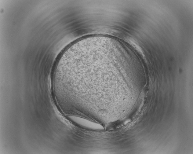 X0000088400936200706121231