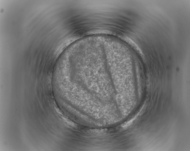 X0000088400937200706121231