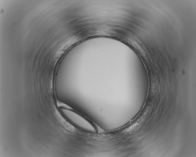 X0000088400938200706121231