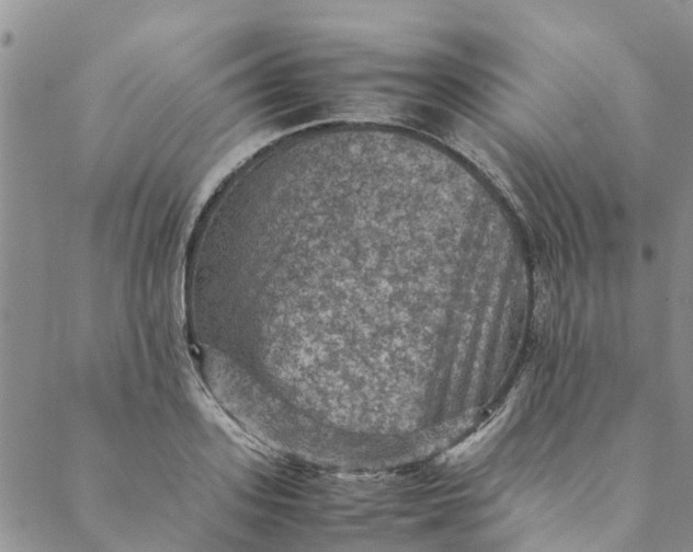 X0000088400939200706121231