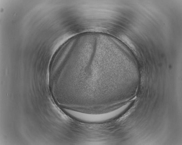 X0000088400940200706121231