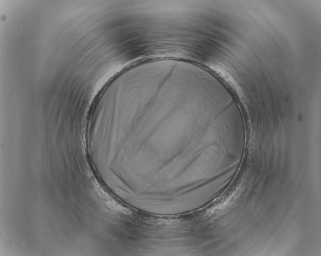 X0000088400941200706121231