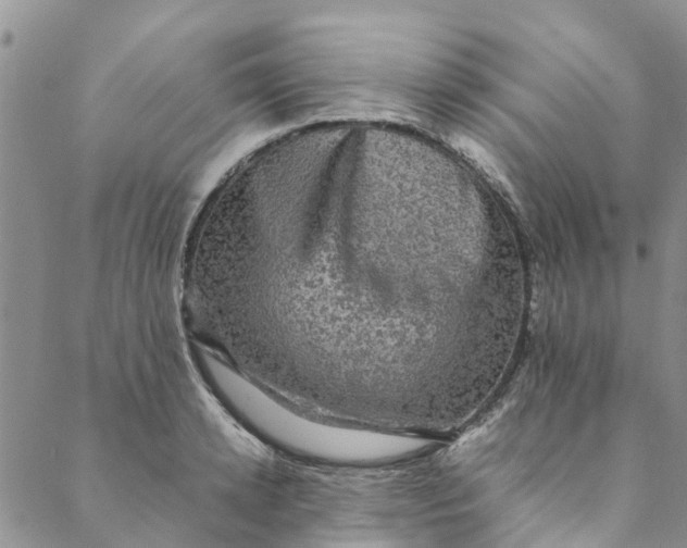 X0000088400942200706121231