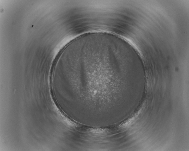 X0000088400943200706121231