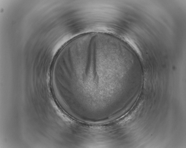 X0000088400944200706121231