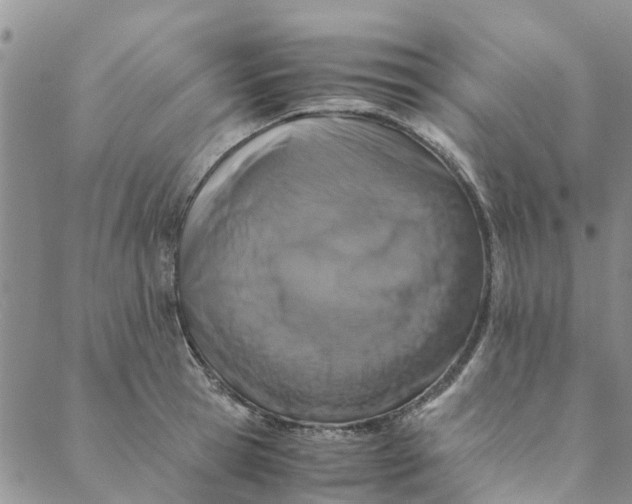 X0000088400945200706121231