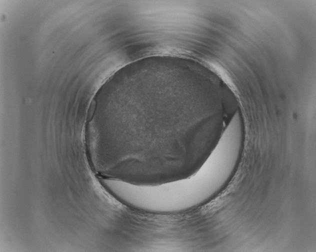 X0000088400946200706121231