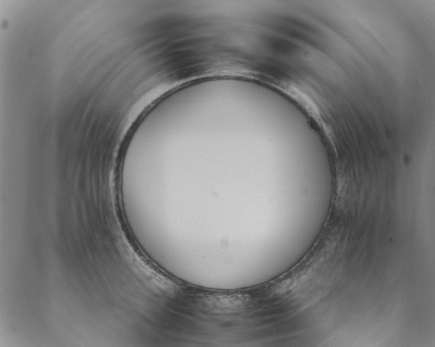 X0000088400947200706121231