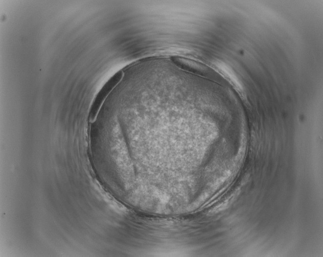 X0000088400948200706121231