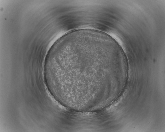 X0000088400949200706121231