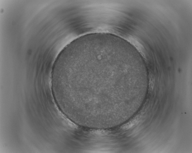 X0000088400950200706121231