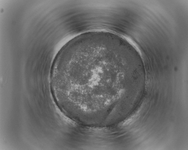 X0000088400951200706121231