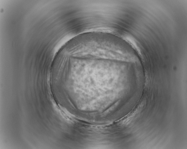 X0000088400952200706121231