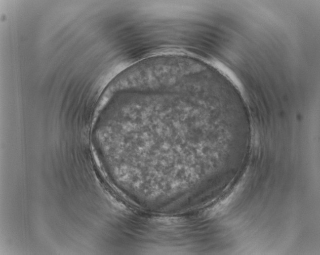 X0000088400953200706121232