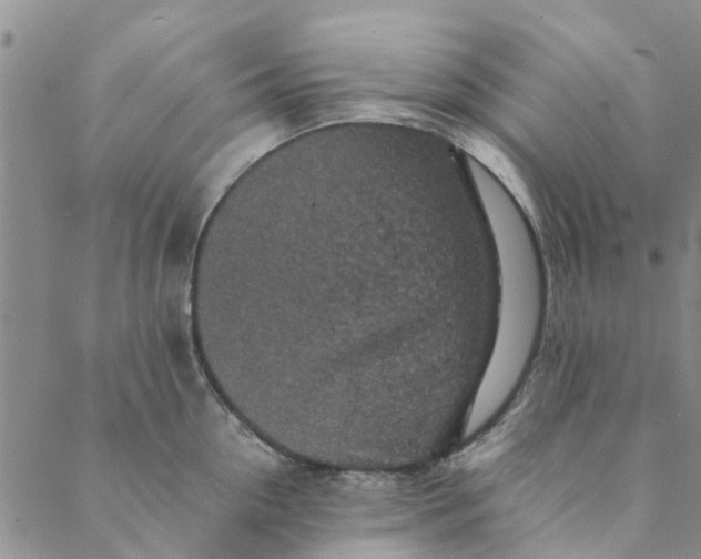 X0000088400954200706121232