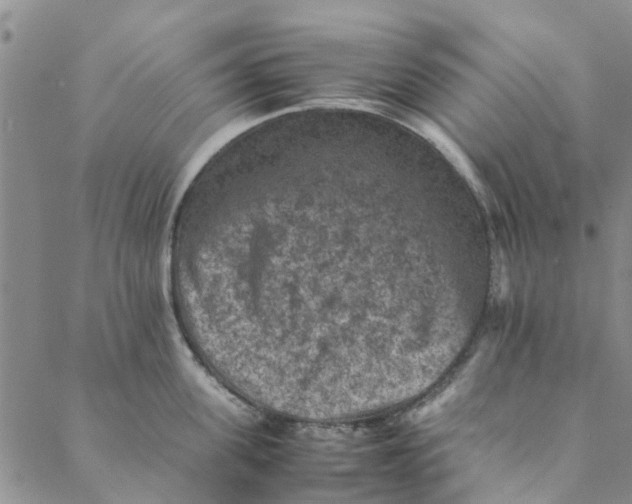 X0000088400955200706121232