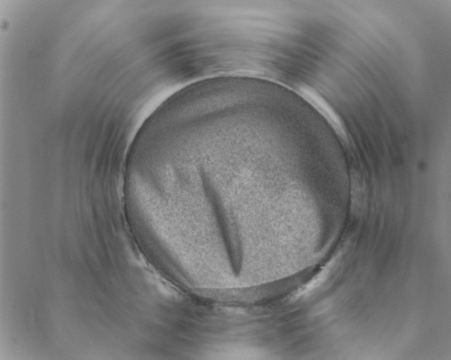 X0000088400956200706121232