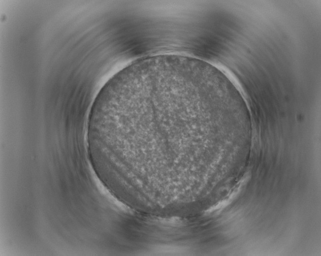 X0000088400957200706121232