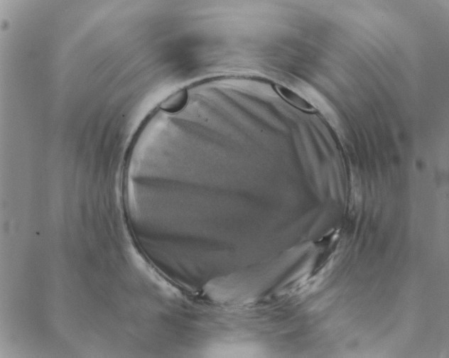 X0000088400958200706121232