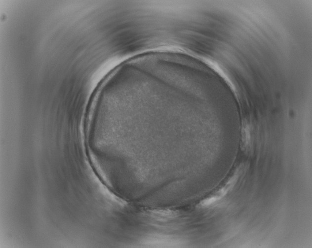 X0000088400959200706121232