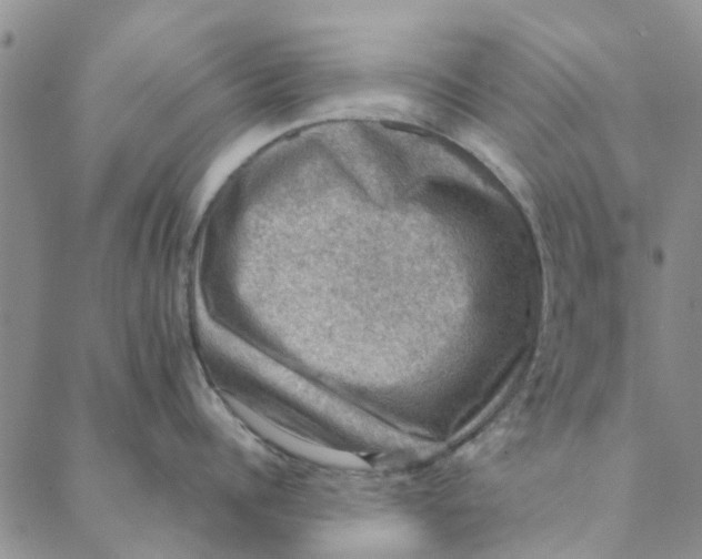 X0000088400960200706121232