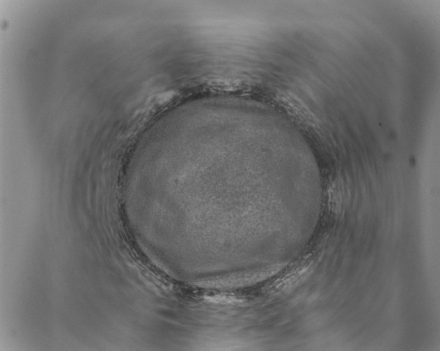 X0000088400961200706121231