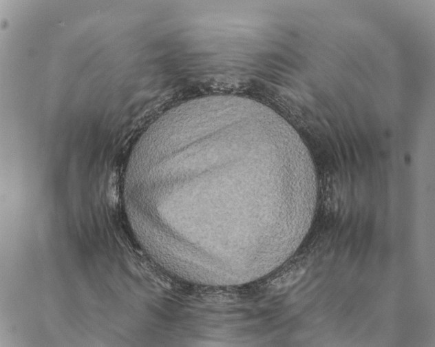 X0000088400962200706121231