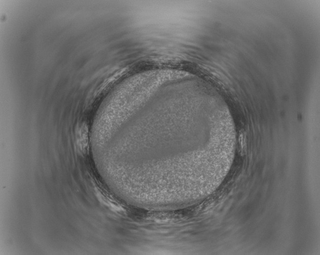 X0000088400963200706121231