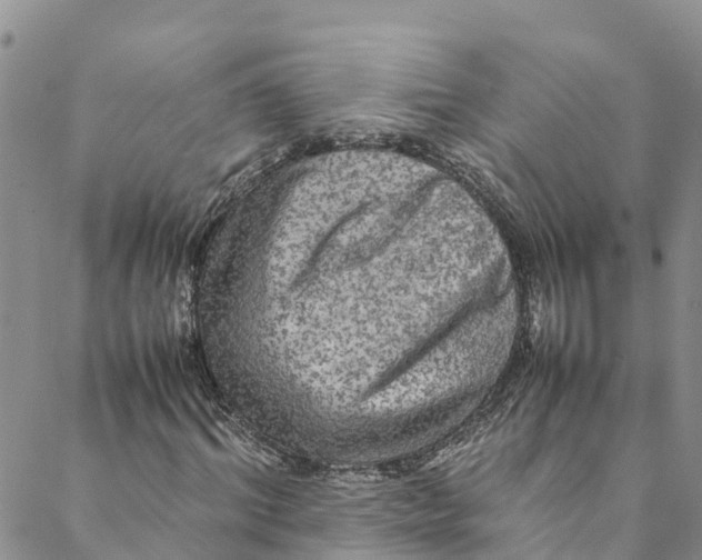 X0000088400964200706121231