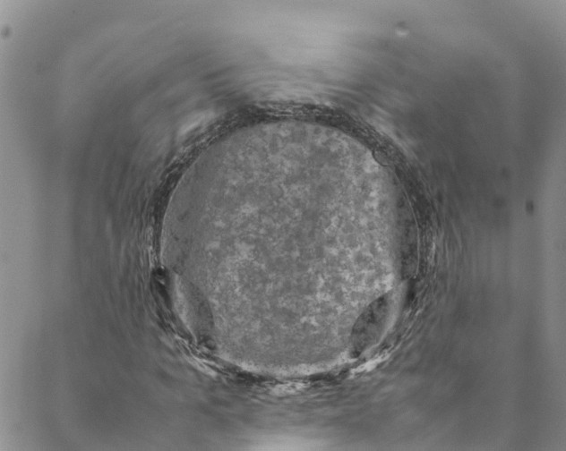 X0000088400965200706121231